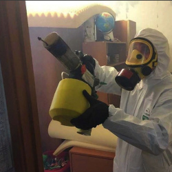 Уничтожение клопов в квартире. Тверской район 